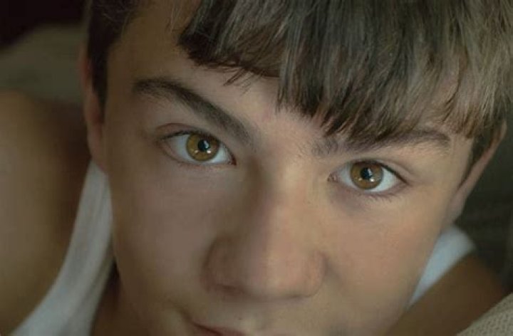 Amber Eyes - All About Vision