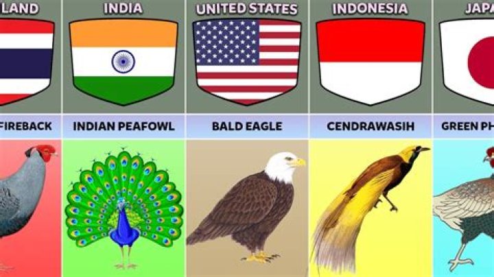 Animals Featured on National Flags and Their Meanings
