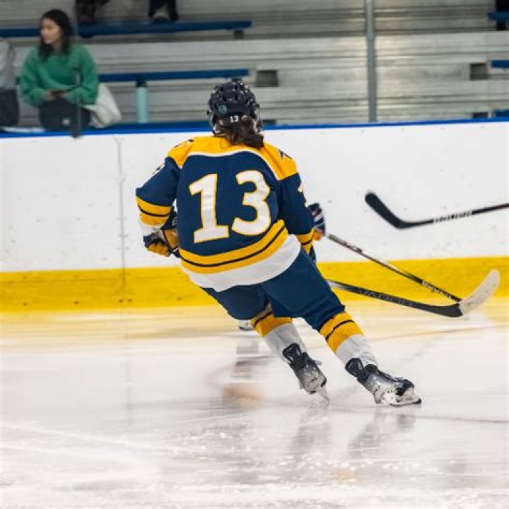 Anthony Toto's Men's Ice Hockey Recruiting Profile