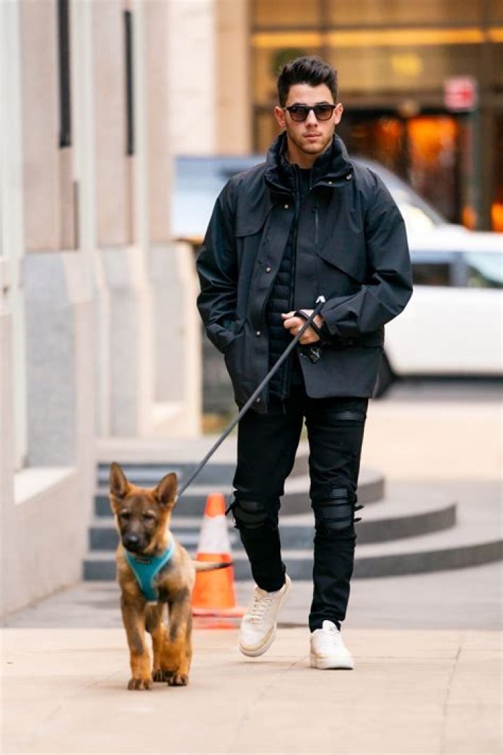 Arab Celebrities and Their Dogs