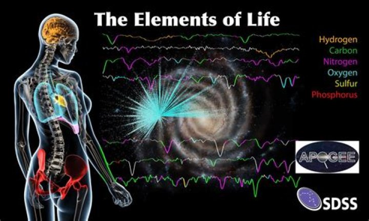 Are humans made of stardust?
