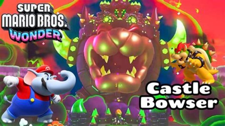 Are there 100 coin stars in the Bowser levels?