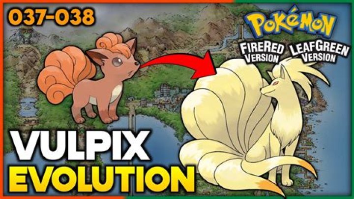 At what level should I evolve Vulpix?