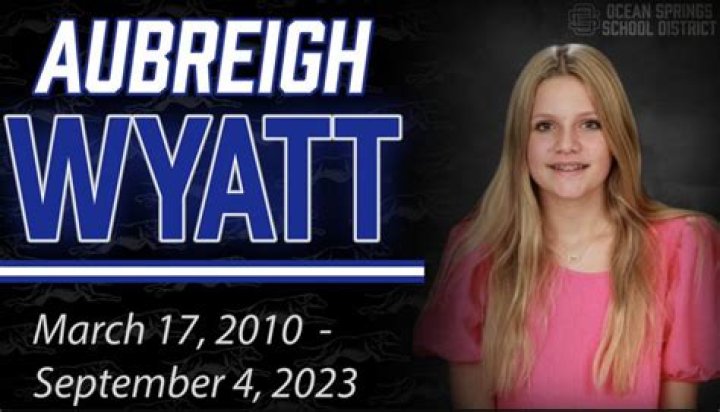 Aubreigh Wyatt Bullies Charged: Understanding The Implications And Consequences