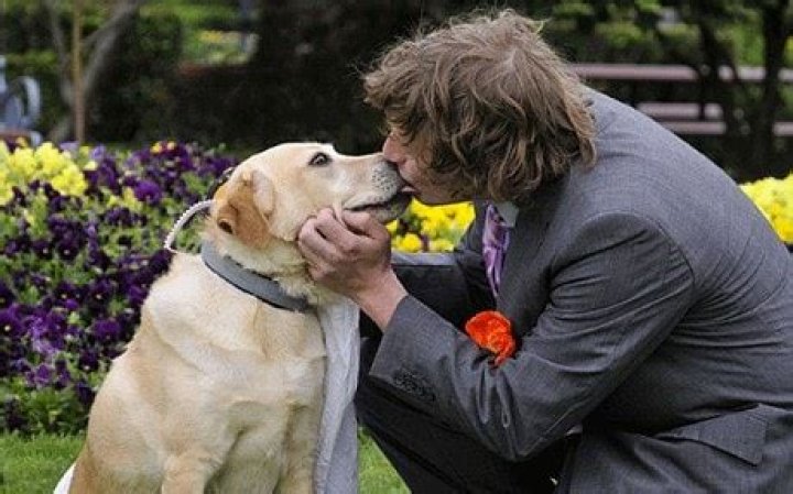 Australian man marries pet dog Honey