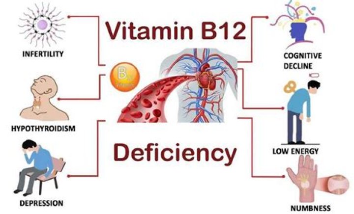 فيتامين b12 اين يوجد ؟ وما أبرز فوائده للجسم؟
