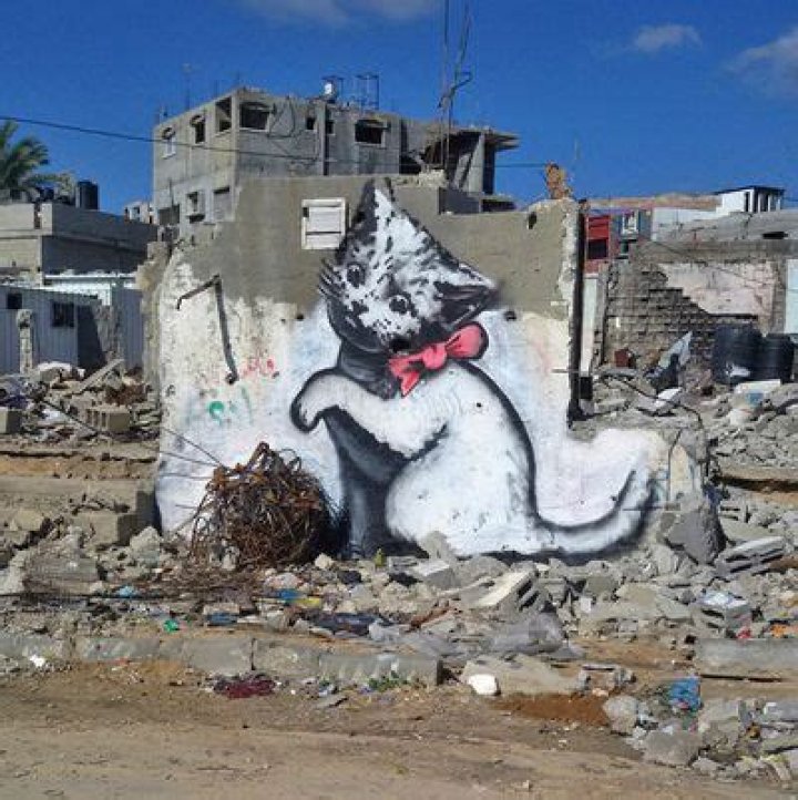 Banksy’s Gaza Kitten Is Shaming Your Internet Habits