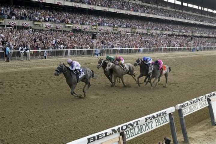 Belmont Stakes Results 2023: Video Replay of Arcangelo's Race at Elmont | News, Scores, Highlights, Stats, and Rumors