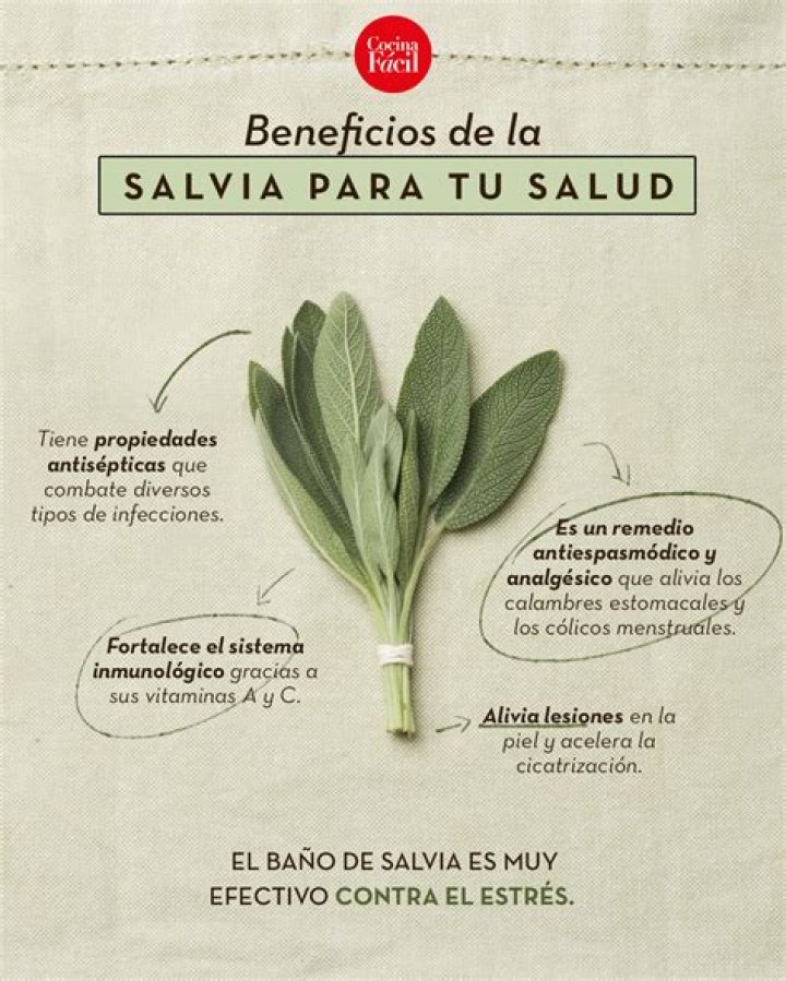 Beneficios de la salvia para la salud: Mitos y verdades