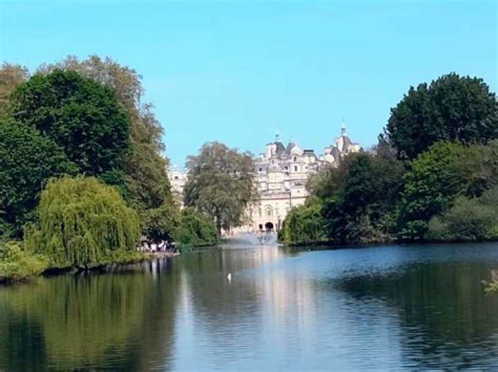 Best hotels in Hyde Park