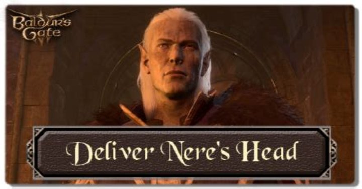BG3 Deliver Nere's Head, Can't Get Head Solution