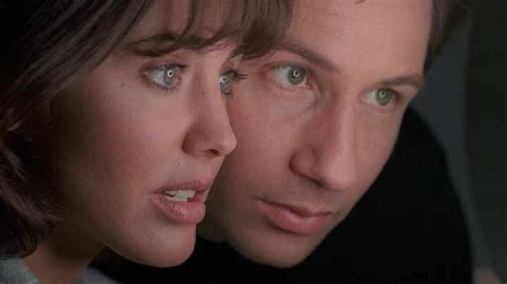 Bobbie Phillips and David Duchovny