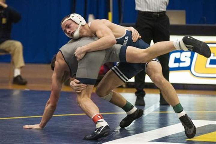 Brayden Palmer's Wrestling Recruiting Profile