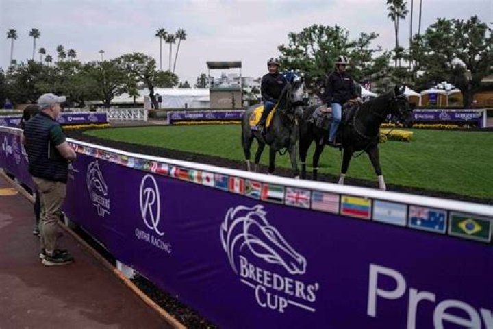 Breeders’ Cup 2023: Expert picks and previews for Friday’s races