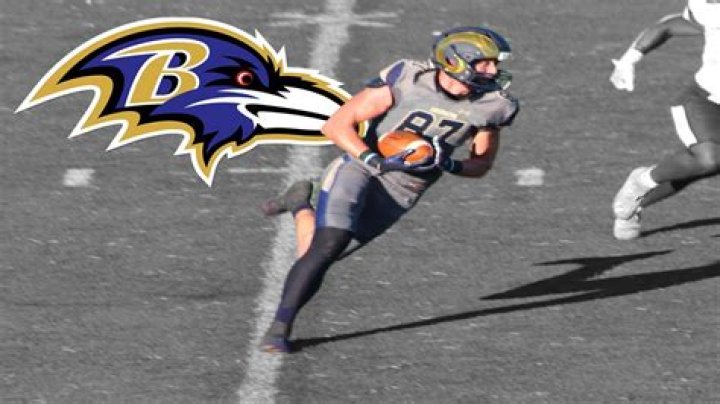Brian Walker - NFL Tight end - News, Stats, Bio and more