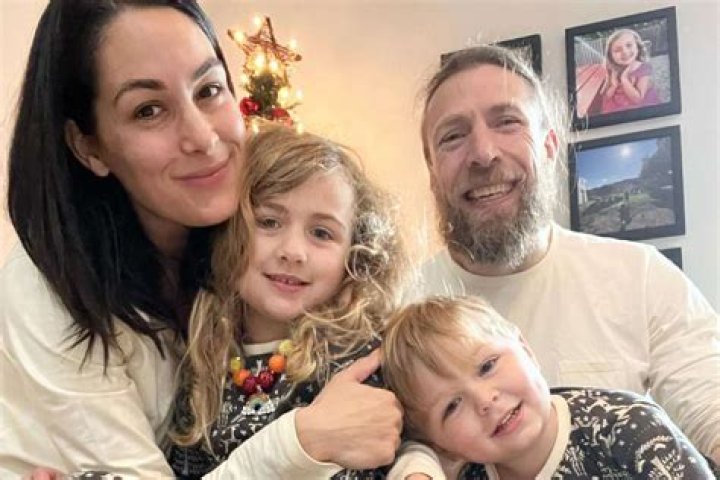 Brie Bella's Hairstyles & Hair Colors