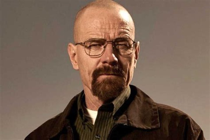 Bryan Cranston and his brother were suspected of murdering a chef in Florida: We heard they were looking for us