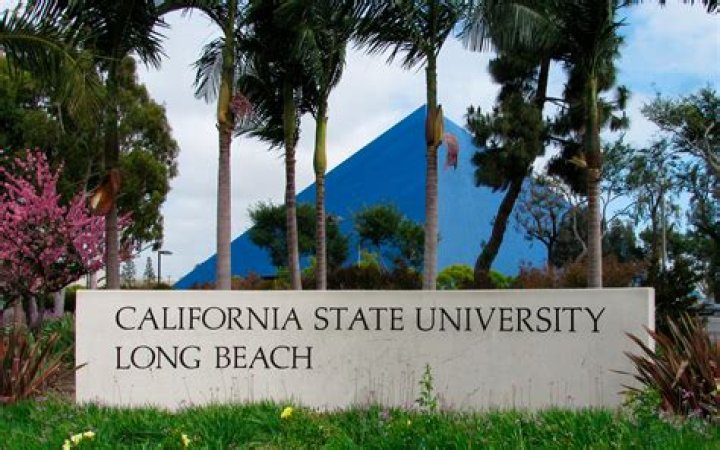 California State University - Long Beach Softball Scholarships Guide