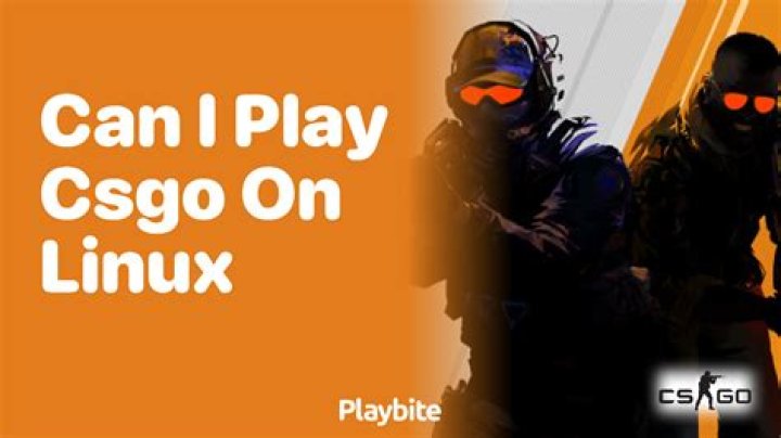Can I play CSGO on Linux?