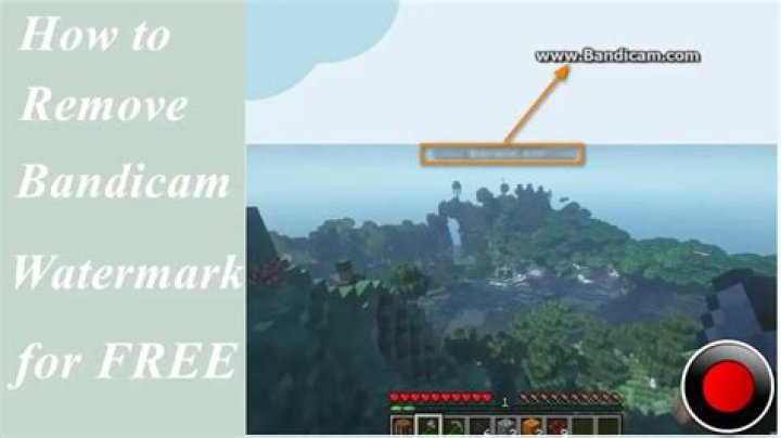 Can we remove watermark from Bandicam?