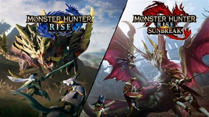 Can you beat Monster Hunter Rise Solo?