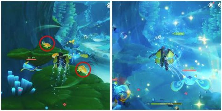 Can you heal Anna Genshin Impact?