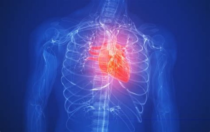 Can you live your life without statins? This cardiologist says you can