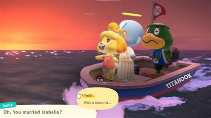 Can you marry Isabelle in Animal Crossing?