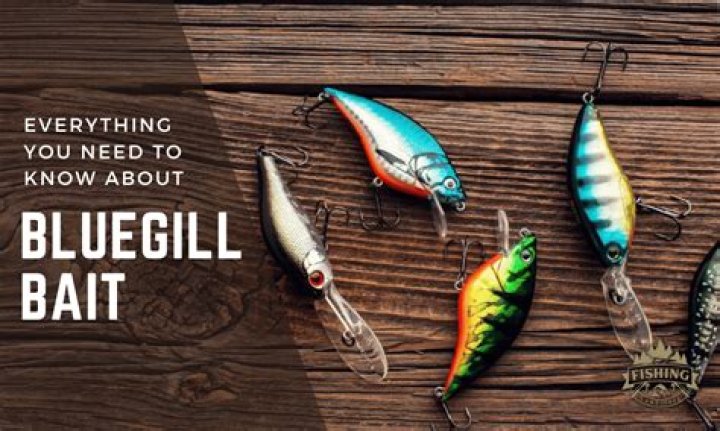 Can You Use Bluegill As Bait In Ohio