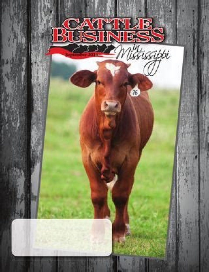 Cattle Business in Mississippi Articles