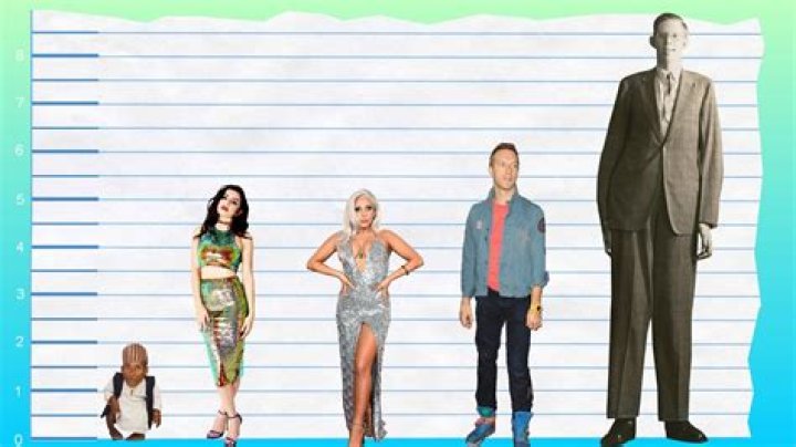 Charli XCX Height: Everything You Need To Know