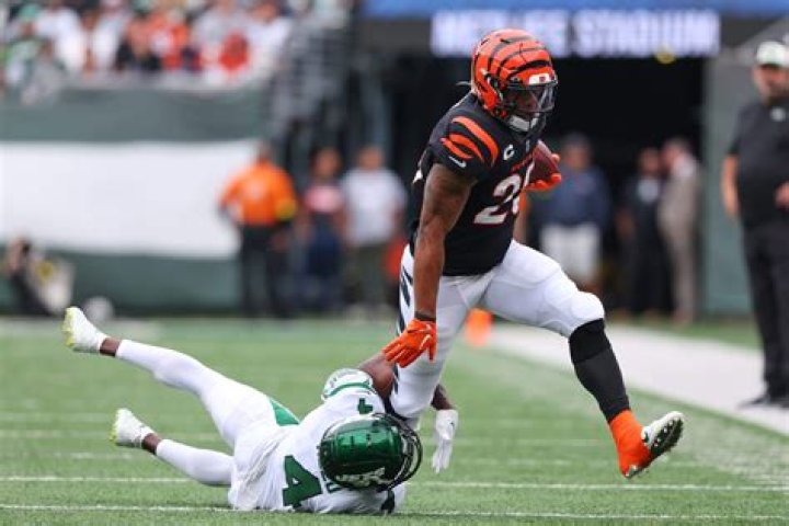Cincinnati Bengals NFL Draft 2023 guide: Picks, predictions and key needs