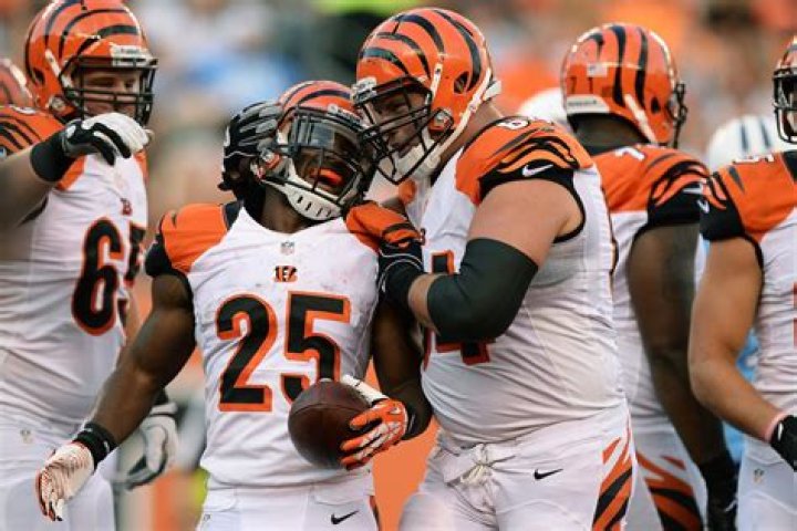 Cincinnati Bengals Roster 2013: Latest Cuts, Depth Charts and Analysis | News, Scores, Highlights, Stats, and Rumors