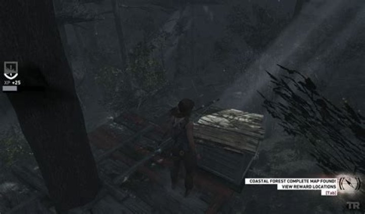 Coastal Forest Treasure Map - GosuNoob.com Video Game News & Guides