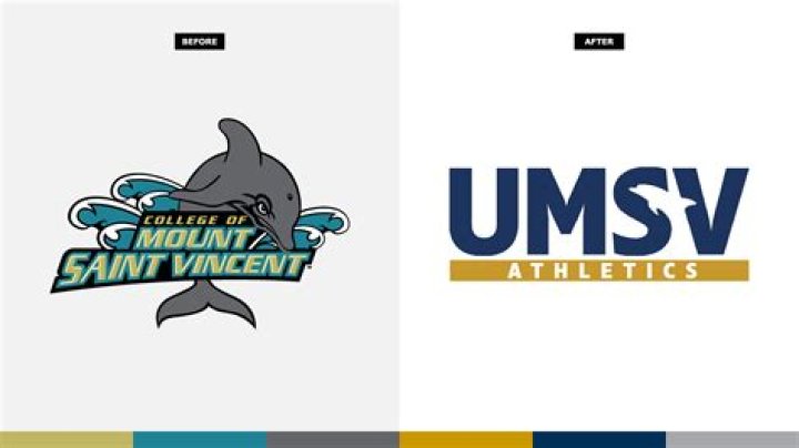 College of Mount Saint Vincent Men's Basketball Program Information