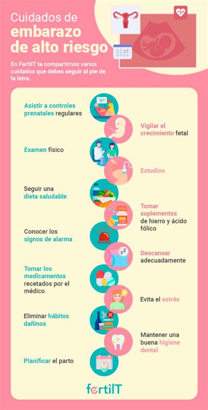 cómo es el proceso, éxito de embarazo y riesgos