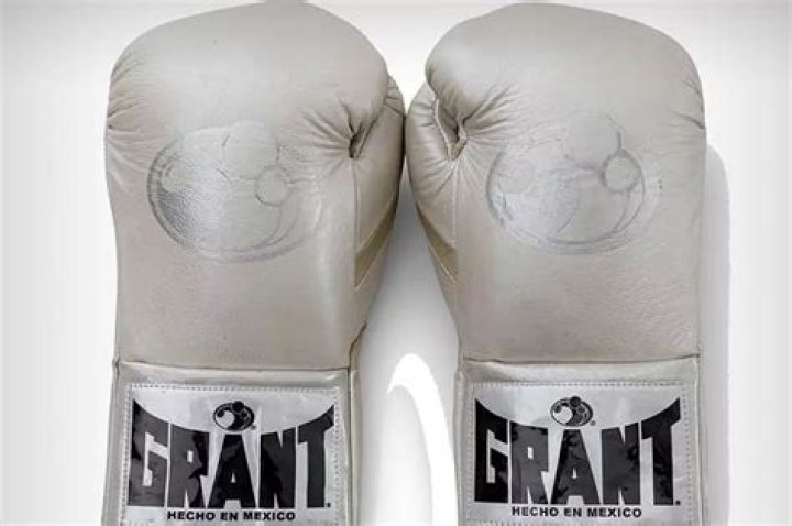 Creed III: Gloves used by Adonis Creed are up for auction