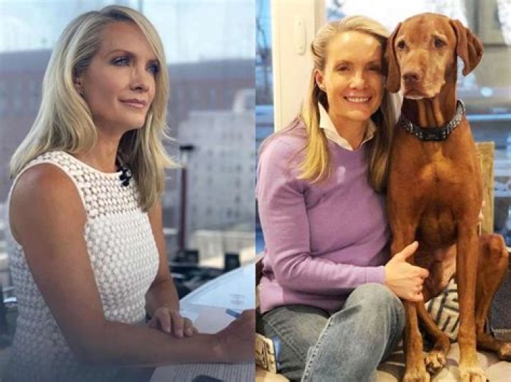 Dana Perino Biography, Age, Height, Husband, Net Worth