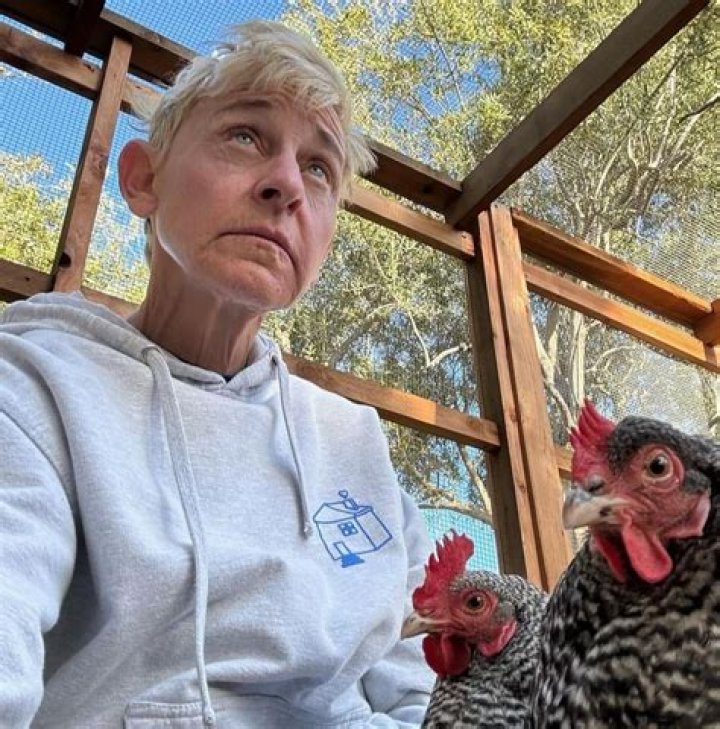 Debra Feuer: A Comprehensive Look At Her Life And Career