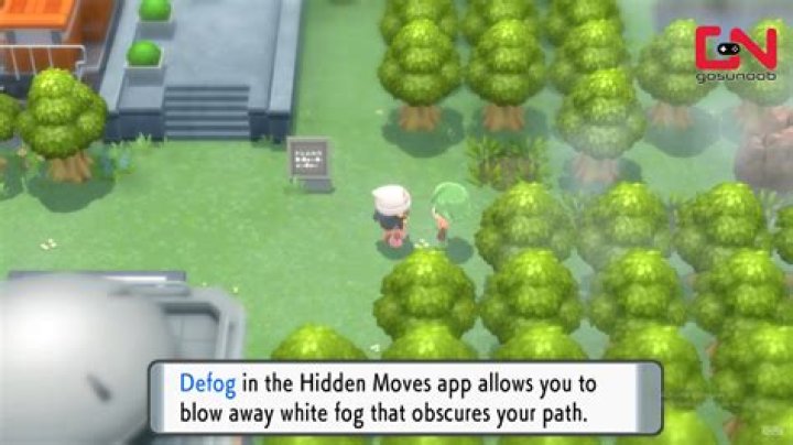 Defog Pokemon BDSP Hidden Move