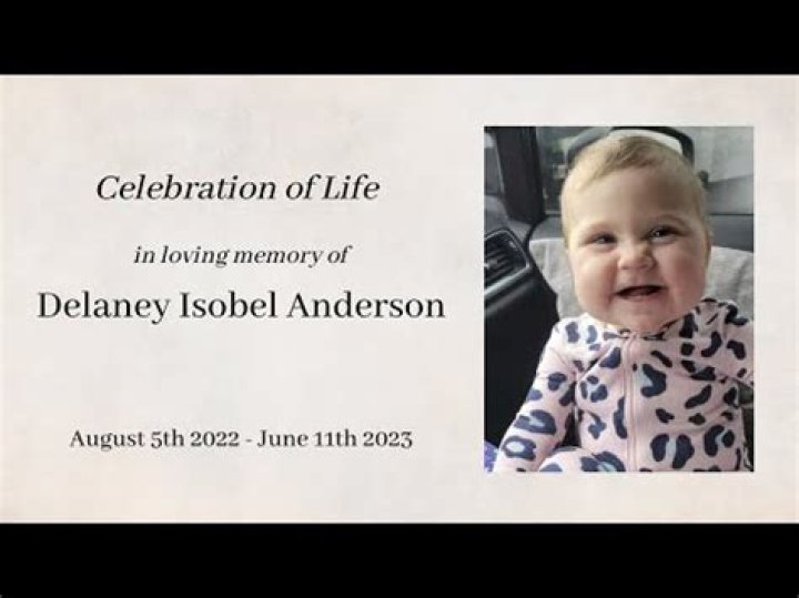 Delaney Anderson Suicide Case