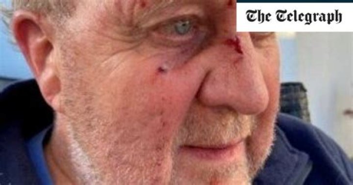 Devon farmer fined after cows trample pensioner and his dog