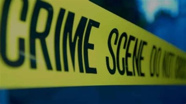 Diane Delia Murder – A Grisly Tragedy 