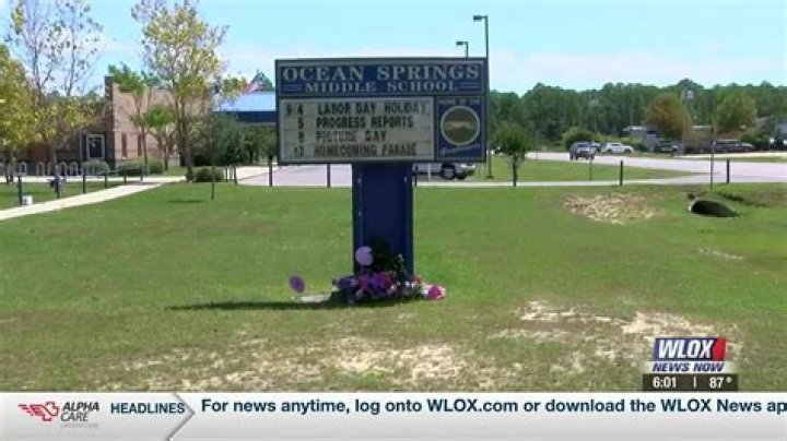 Did Molly Nobit Die? A Deep Dive Into The Rumors And Facts