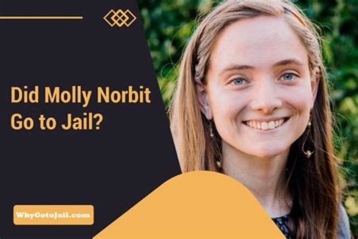 Did Molly Norbit Go To Jail In 2024? A Comprehensive Look
