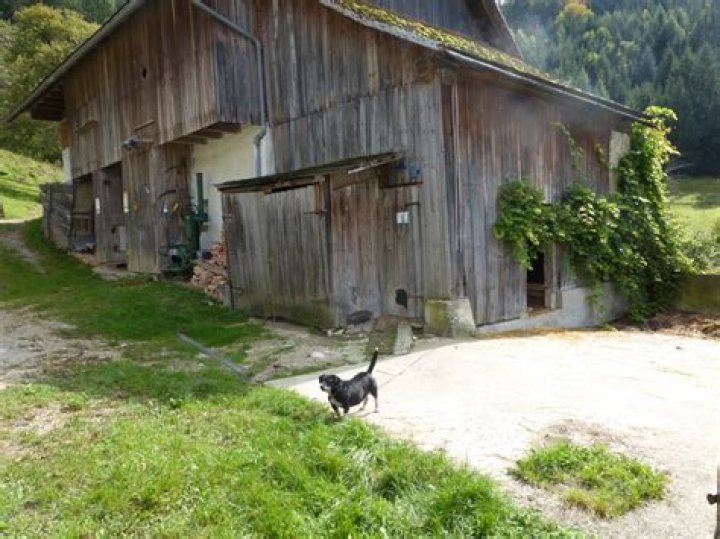 Die Beißfrequenz der Kettenhunde – Uraufführung eines Andreas Marber-Stücks von Stephan Kimmig