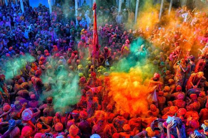 Discover The Vibrant World Of 