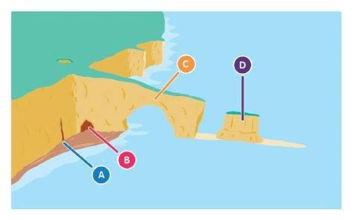 Discovery Of Playa Cercas Demi: Hidden Gems Of A Coastal Paradise