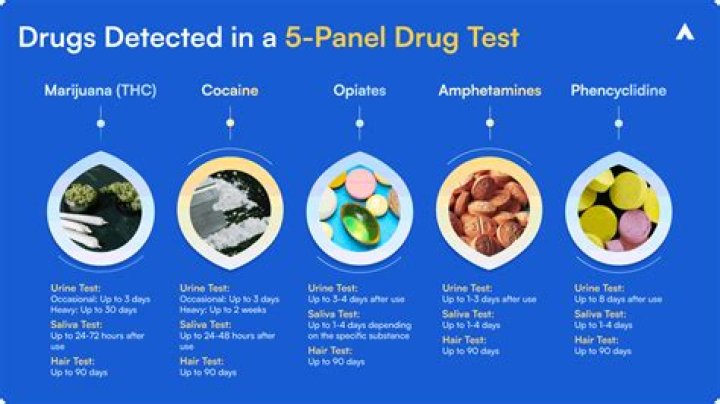 Does BJS drug test in Florida?