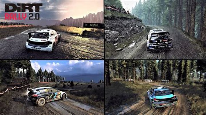 Does Dirt Rally 2.0 have free roam?